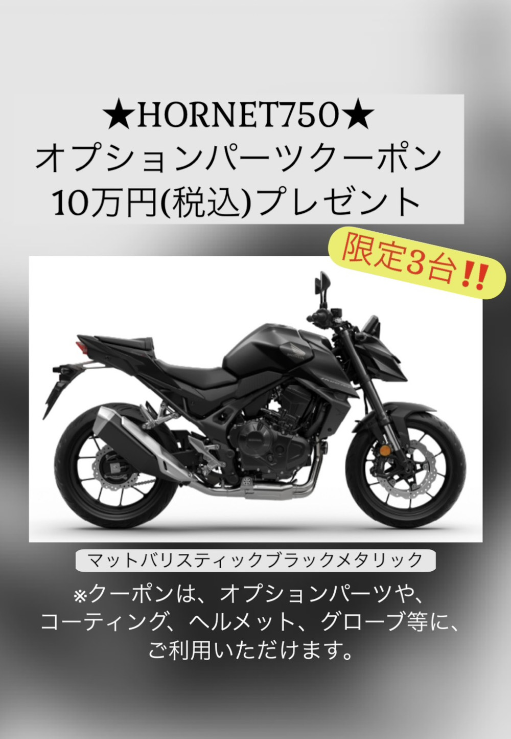 CB750 HORNET 「オプションクーポン」プレゼント